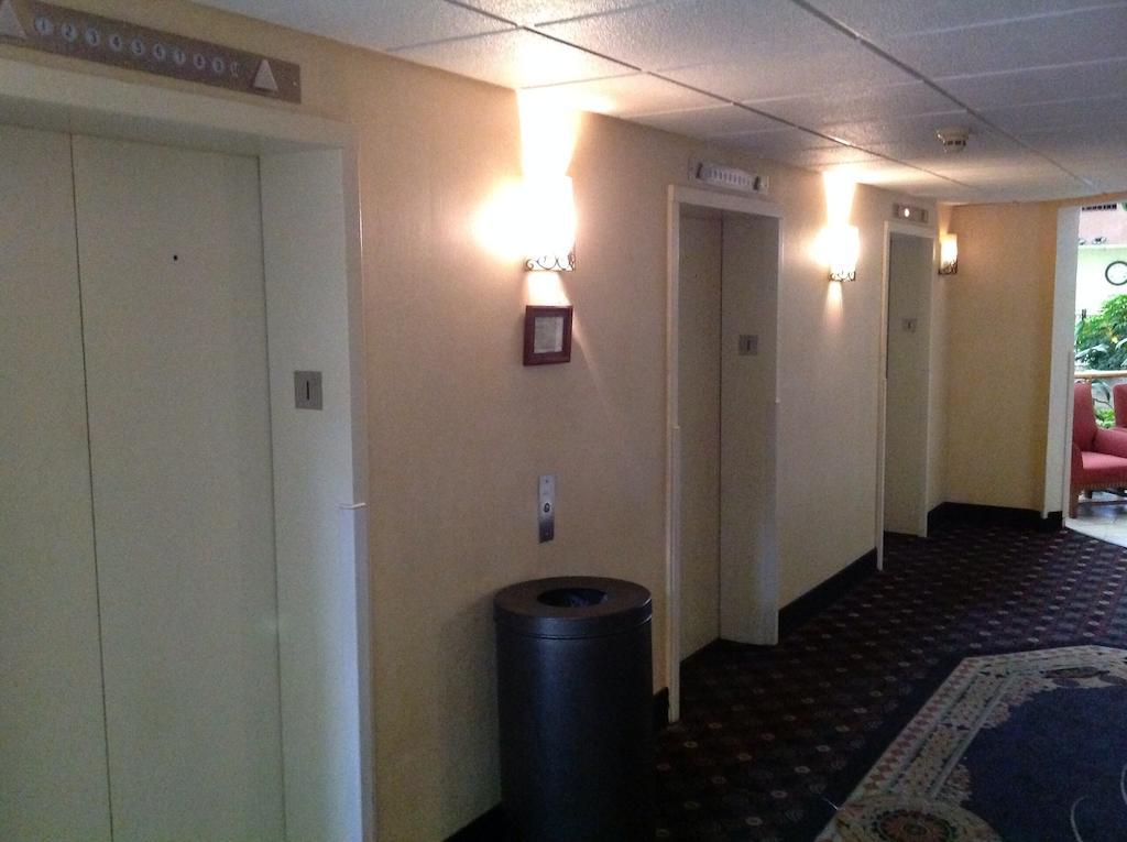 ホテル Wyndham Garden アマリロ エクステリア 写真