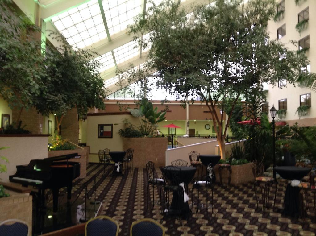 ホテル Wyndham Garden アマリロ エクステリア 写真