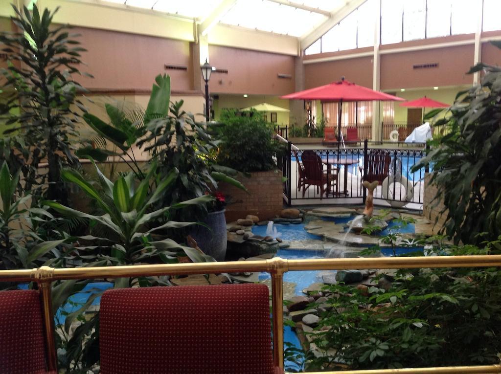 ホテル Wyndham Garden アマリロ エクステリア 写真