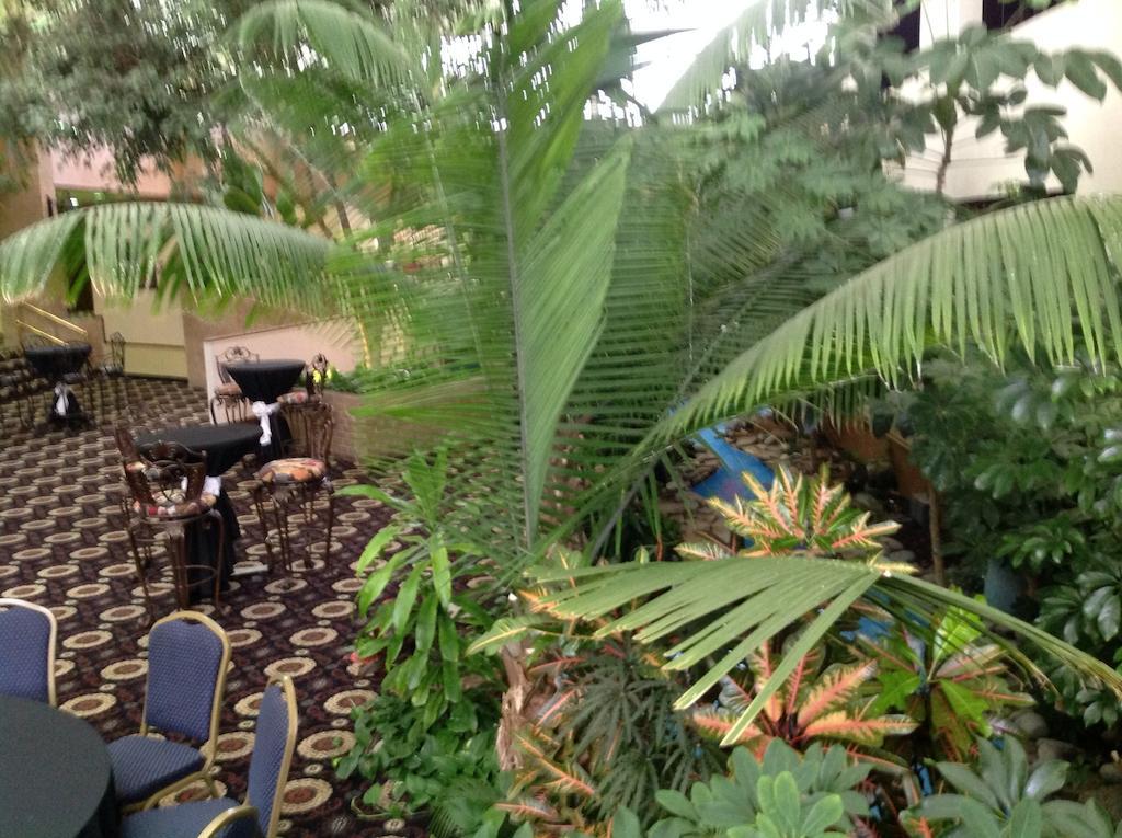 ホテル Wyndham Garden アマリロ エクステリア 写真