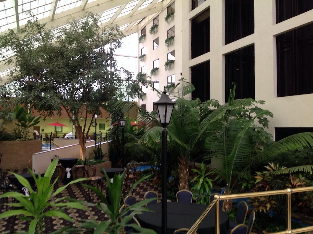 ホテル Wyndham Garden アマリロ エクステリア 写真